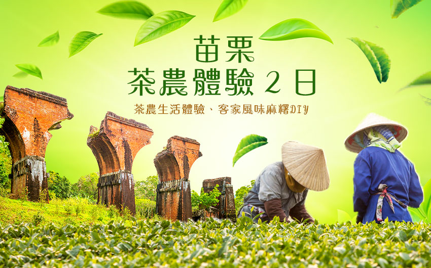 苗栗茶農體驗-茶農手作日常生活體驗，頭戴花巾斗笠，零距離的茶園體驗。